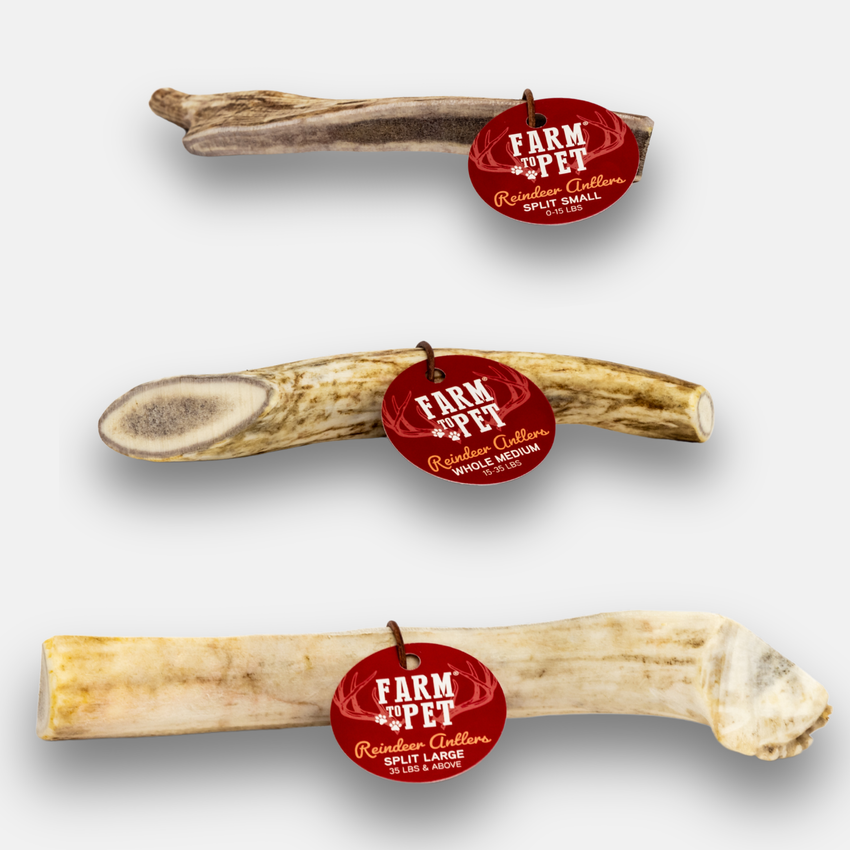 Reindeer Antler Dog Chews | Organic Chews for Dogs