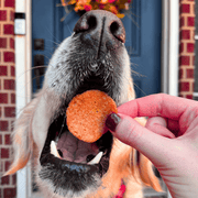 Turkey Feast Chips