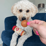 Treat Topper Chicken Dog Food Topper | Healthy Meal Supplement for Dogs