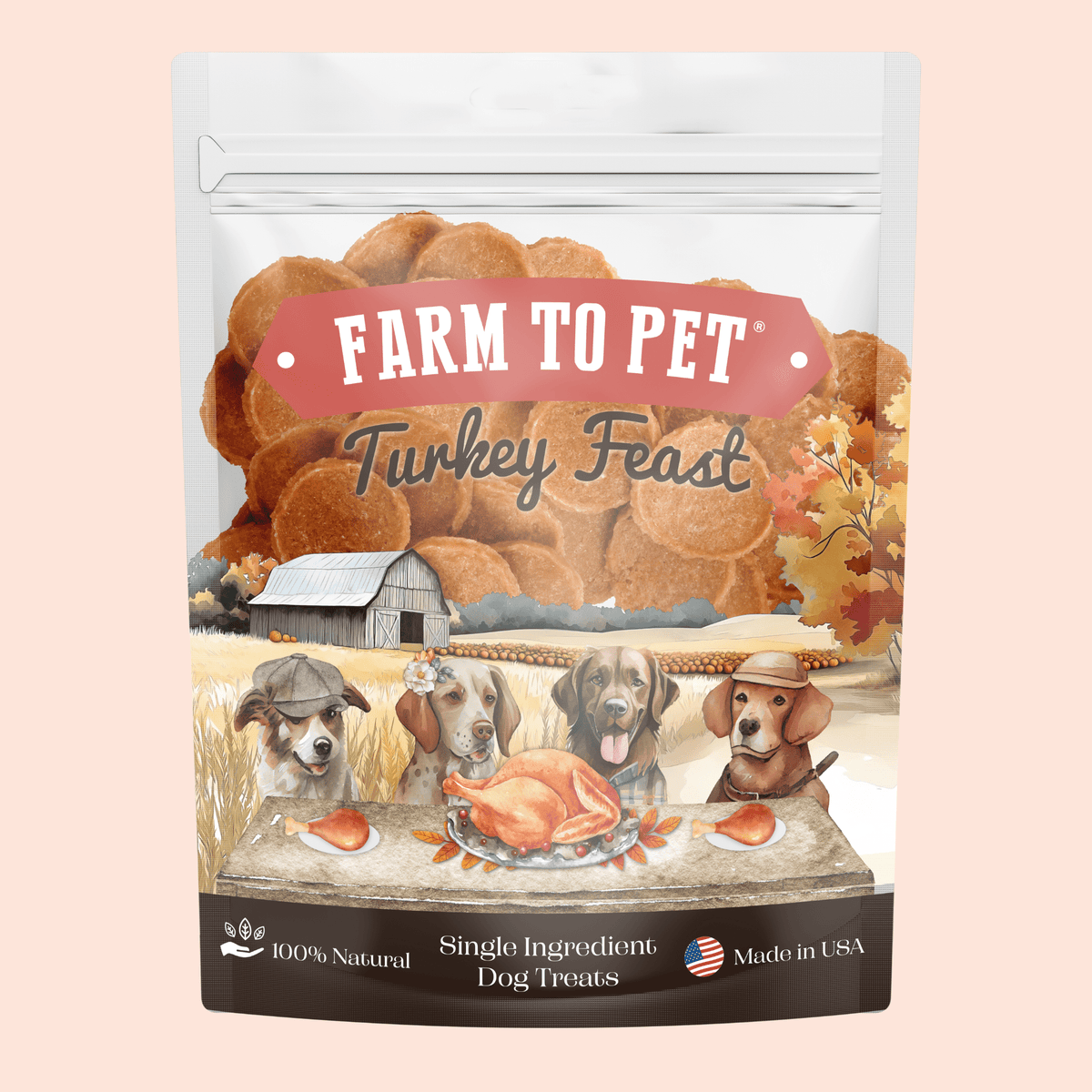 Turkey Feast Chips