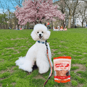 Turkey Chips for Dogs | All-Natural Single-Ingredient Healthy Dog Treats