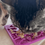 Lick Mats for Cats and Small Dogs