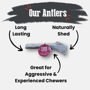 Reindeer Antler Dog Chews | Organic Chews for Dogs