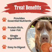 Turkey Chips for Dogs | All-Natural Single-Ingredient Healthy Dog Treats