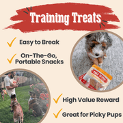 Snack Pack Dog Treat Sampler