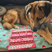 Dog Lick Mats