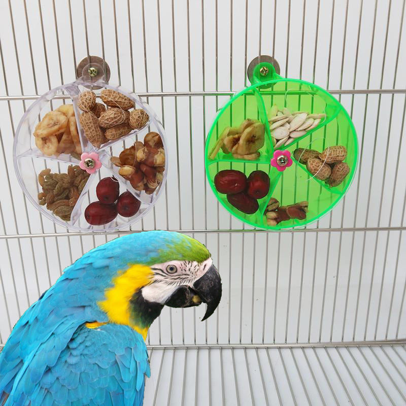 Parrot Foraging Wind Wheel Toy